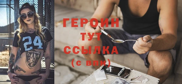 гашик Ельня