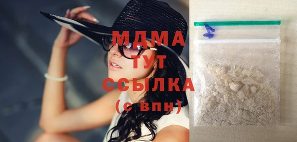 гашик Ельня