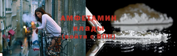 гашик Ельня