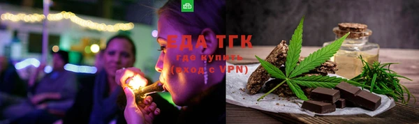 гашик Ельня