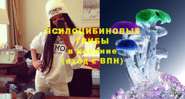 ПСИЛОЦИБИНОВЫЕ ГРИБЫ Дмитровск