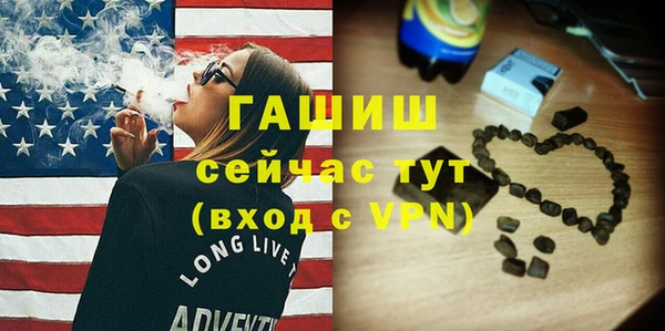 гашик Ельня