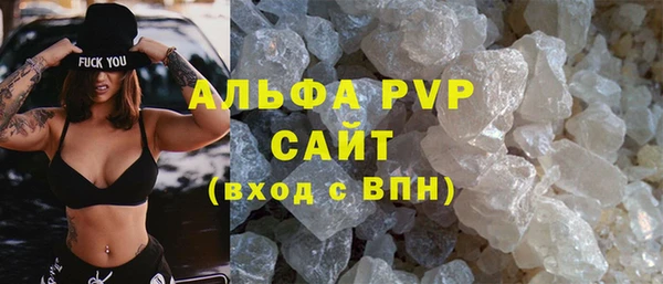 гашик Ельня