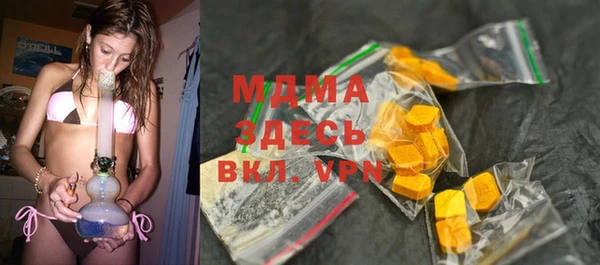 гашик Ельня
