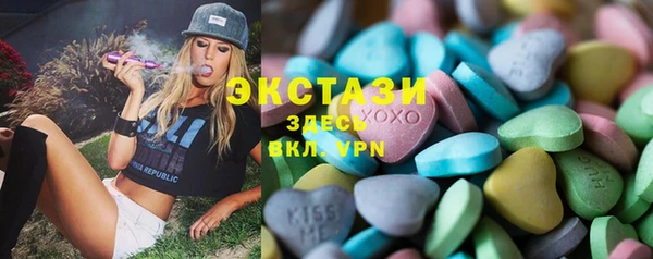 гашик Ельня