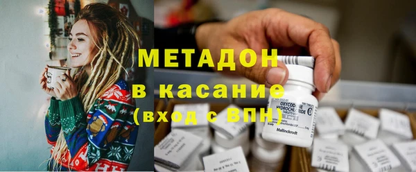 гашик Ельня