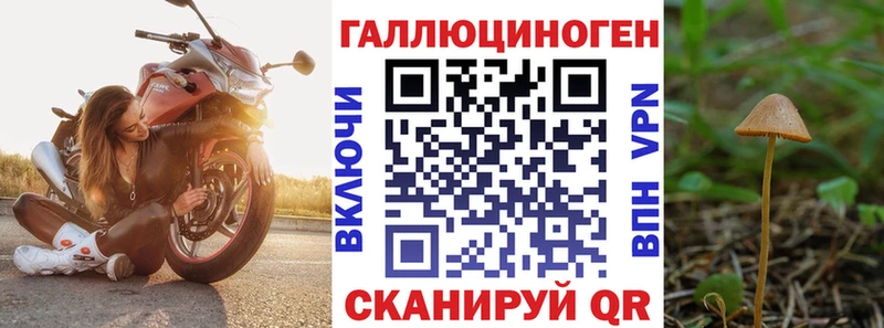 Галлюциногенные грибы Psilocybine cubensis  Купить закладки  Уварово 